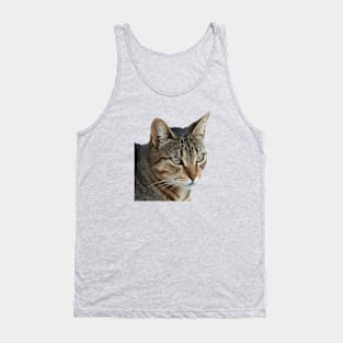 Stunning Tabby Cat Close Up Portrait Vector Isolated Tank Top